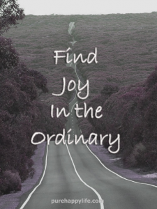 find joy in the ordinary